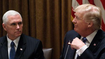 Parteifreunde: US-Präsident Donald Trump und Vizepräsident Mike Pence.