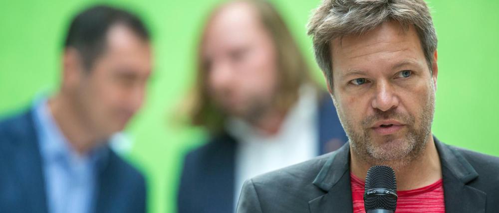 Robert Habeck will die Grünen in den Bundestagswahlkampf führen