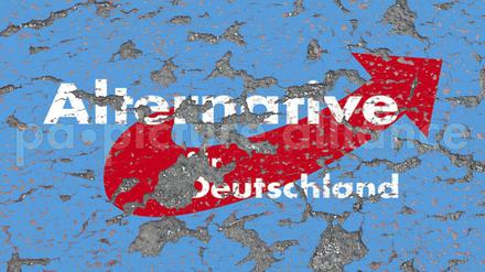 Steuergelder für rechte Stiftung? Der Zentralrat der Juden in Deutschland und weitere Organisationen warnen vor staatlicher Finanzierung der AfD-nahen Desiderius-Erasmus-Stiftung
