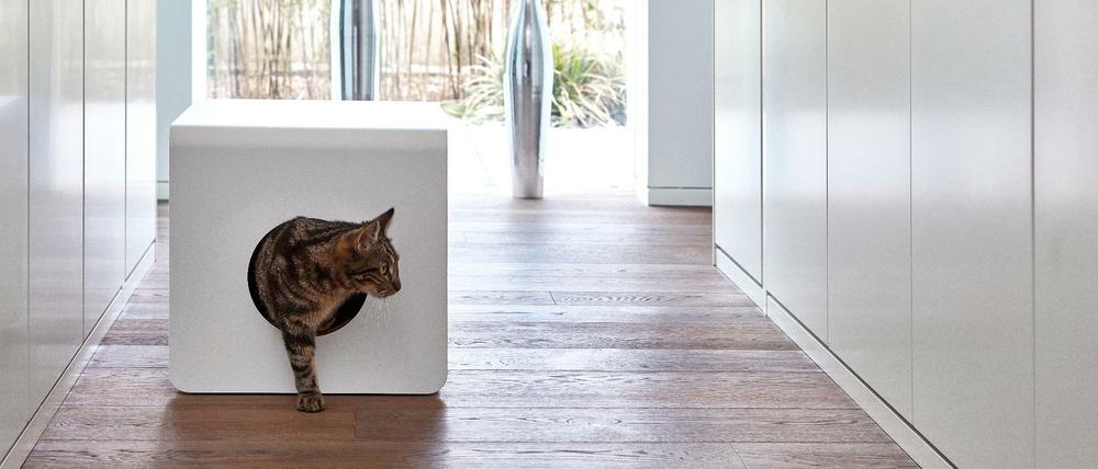 Ein stilvolles Katzenklo ist „Sito“ us Aluminium für MiaCara.