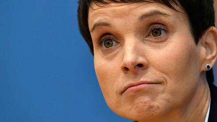 "Die Blaue Partei" könnte die neue politische Heimat von Ex-AfD-Chefin Petry werden.