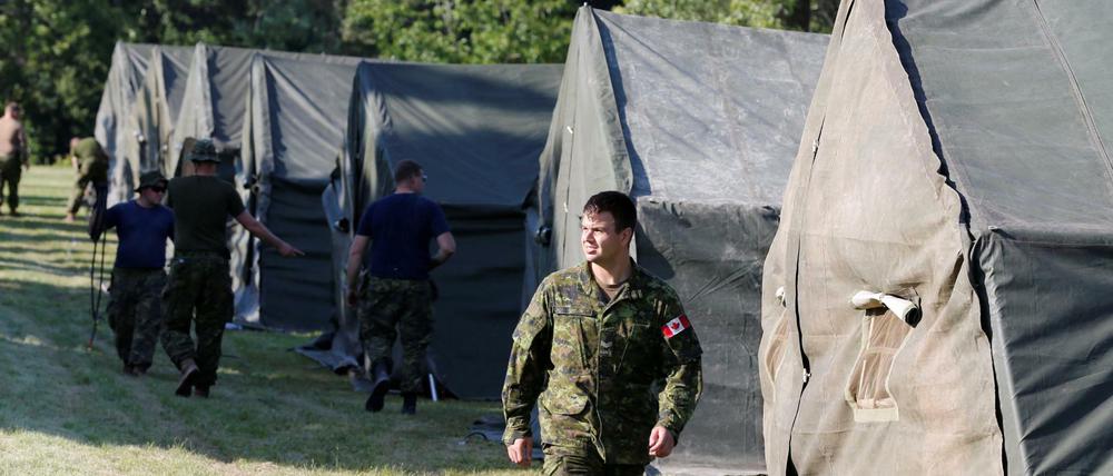 Das kanadische Militär errichtet Flüchtlingszelte.
