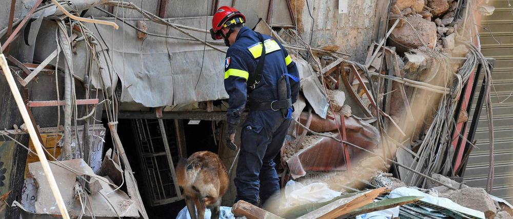 Ein Französischer Helfer sucht in den Trümmern mit einem Spürhund nach Überlebenden. 