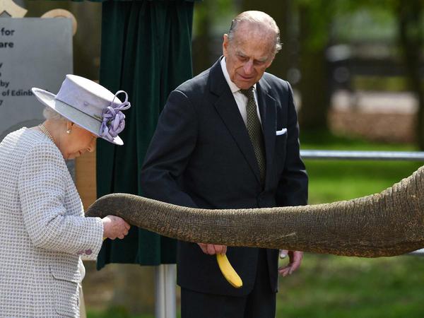 Prinz Philip hat immer akzeptiert, dass er seiner Frau offiziell nur assistieren kann: Hier als Bananenträger, während sie 2017 einen Elefanten füttert. 