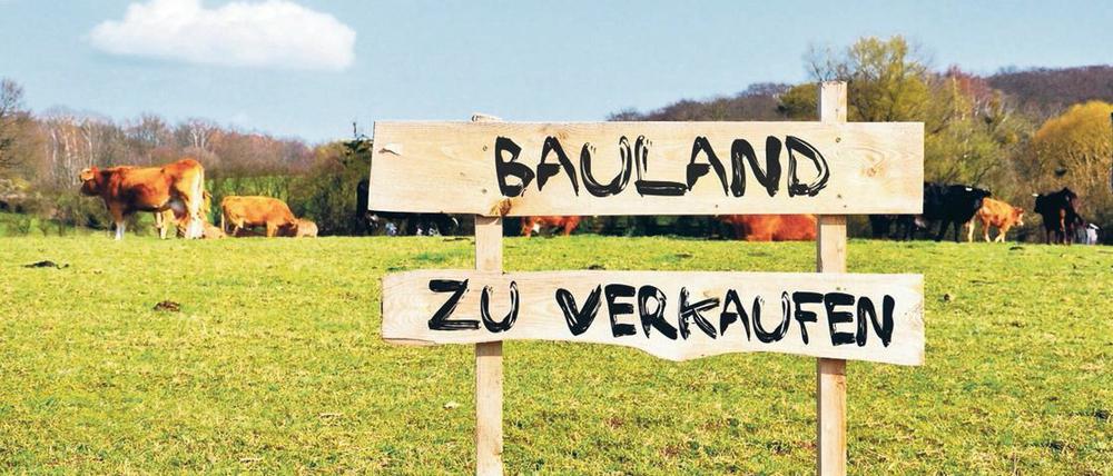 Ein Schild mit der Aufschrift "Bauland zu verkaufen"