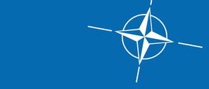 In den Augen von US-Präsident Trump tragen die europäischen Nato-Staaten zu wenig zum gemeinsamen Verteidigungsbündnis bei. 
