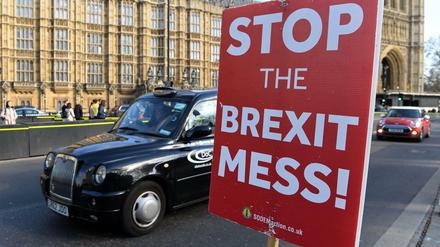 Anti-Brexit-Protest vor dem House of Parliament in London