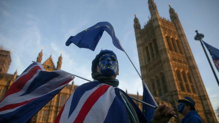 Ein Demonstrant protestiert in London vor dem Unterhaus gegen den Brexit. 