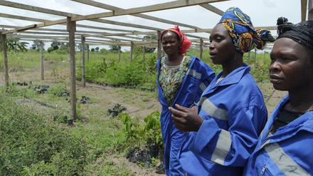 Hoffnung mit Hühnerzucht. Mit dem Dung der Hühner wollen diese Frauen aus Bangui die Beete fruchtbarer machen. Der Boden gab bislang nichts her. 