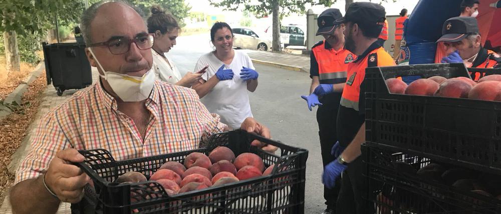 Eine Kiste Obst trägt Jose Antonio Gómez, stellvertretender Bürgermeister von Los Barrios, zu dem Sportplatz, auf dem die Flüchtlinge campieren dürfen. 