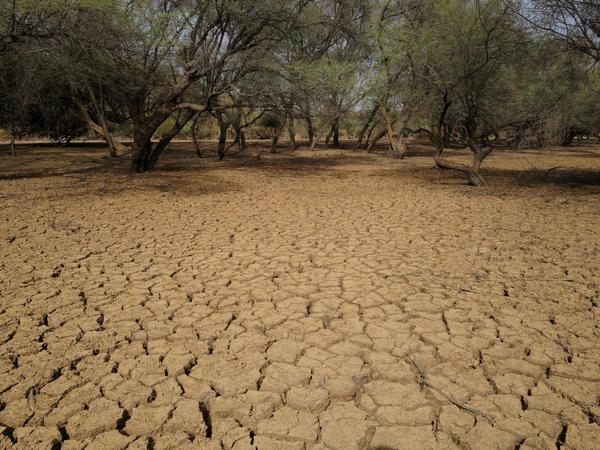 Starkregen könnte zum Verlust weiterer Böden in der Sahelzone führen. 