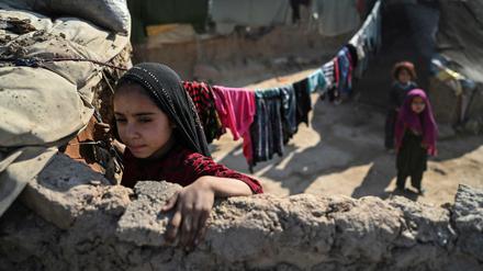 Afghanische Kinder in Herat
