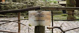 Das Tiergehege im Viktoriapark in Berlin-Kreuzberg wurde am 23. Oktober 2014 vom Bezirksamt aus Kostengründen geschlossen.