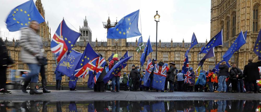 Demonstranten vor dem britischen Parlament in London