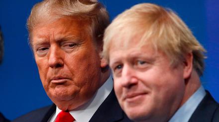 In Stil und Substanz wie Zwillinge - Donald Trump und Boris Johnson 
