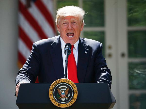 US-Präsident Donald Trump spricht im Rosengarten des Weißen Haus in Washington (USA) zum Pariser Klimaabkommen. 
