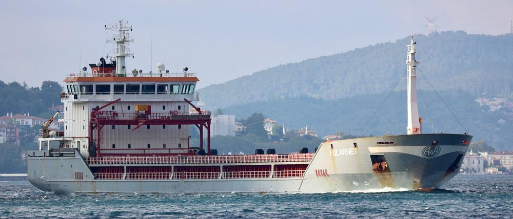 Das unter türkischer Flagge fahrende Frachtschiff Polarnet befährt den Bosporus in Istanbul.