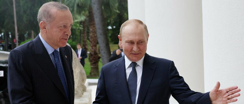 Ankunft in Sotschi: Der türkische Präsident Recep Tayyip Erdogan wird begrüßt von Russlands Präsident Wladimir Putin. 