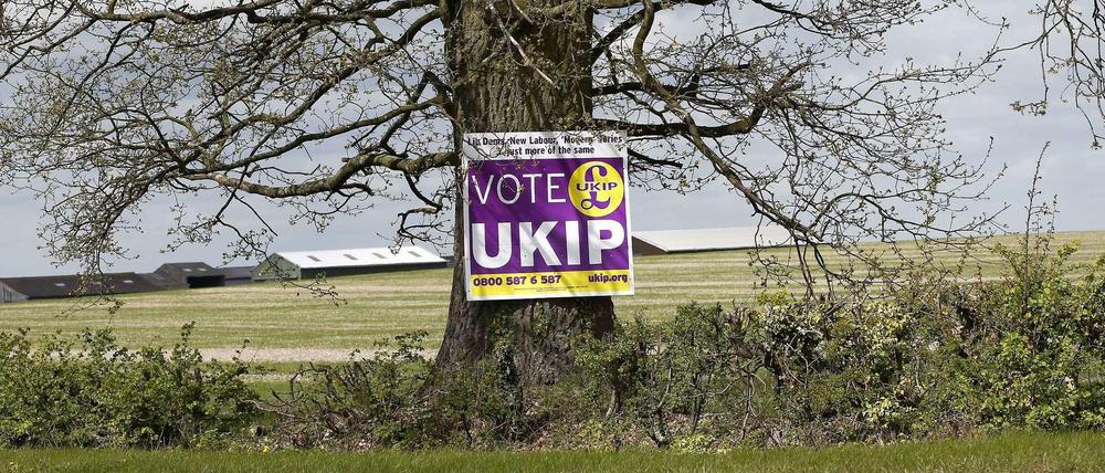 Die EU- und ausländerfeindliche Partei Ukip droht bei den Parlamentswahlen in Großbritannien viele Stimmen zu bekommen.