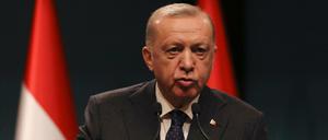 Präsident Recep Tayyip Erdogan kann sich auf eine Riege schwerreicher Unternehmer verlassen.