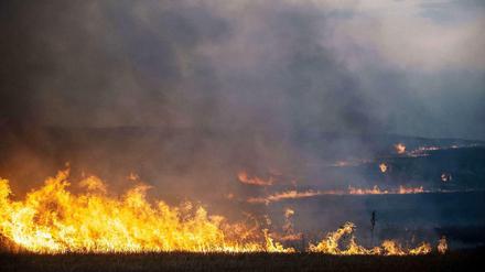 Brennendes Feld in der Nähe der umkämpften Stadt Donezk in der Ostukraine.