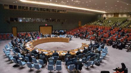 Im UN-Sicherheitsrat gingen die Vertreter der USA und Russland heftig aufeinander los.