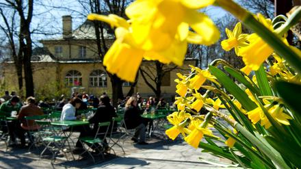 Besucher des Biergartens im Englischen Garten in München genießen das schöne Wetter in den Osterferien. (Archivbild)