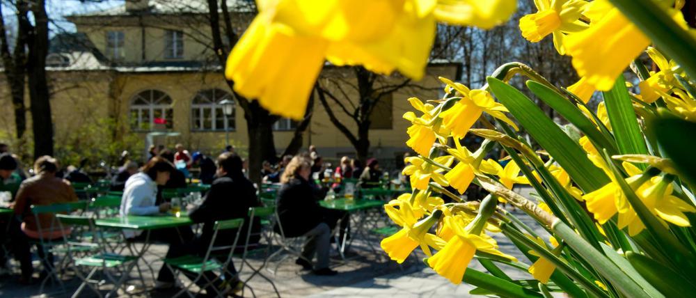 Besucher des Biergartens im Englischen Garten in München genießen das schöne Wetter in den Osterferien. (Archivbild)