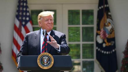 Im Rosengarten des Weißen Hauses präsentiert US-Präsident Donald Trump seine Pläne für ein neues Einwanderungssystem. 