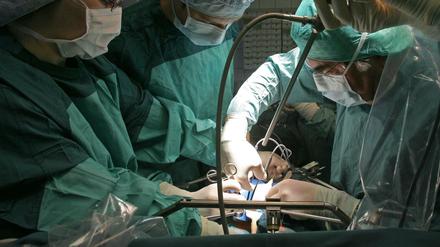 In der Klinik für Urologie am Universitätsklinikum Jena wird bei einer Operation einem Spender eine Niere entnommen, die für eine Transplantation vorgesehen ist.