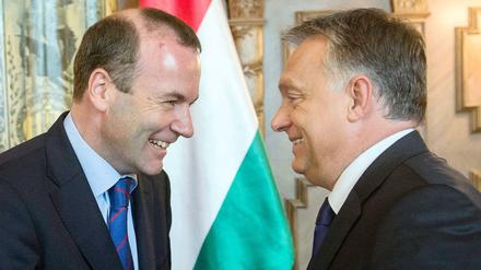 Ungarns Präsident Viktor Orban mit EVP-Fraktionschef Manfred Weber