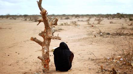 Eine Frau aus Somalia sitzt in der Nähe eines UNHCR Flüchtlingslagers in Dadaab (Kenia) an einem verdorrten Baum.