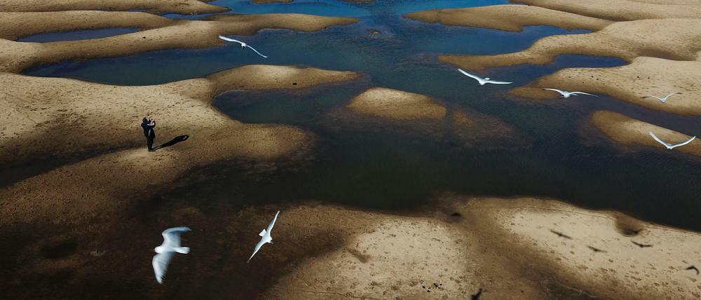 Das Flussbett des Alten Parana-Flusses in Argentinien während einer Dürre (Archivbild)