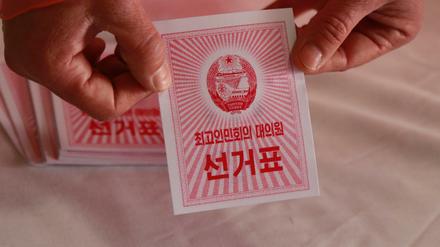 Die kommunistische Führung in Nordkorea lässt am Sonntag eine neue Oberste Volksversammlung wählen.