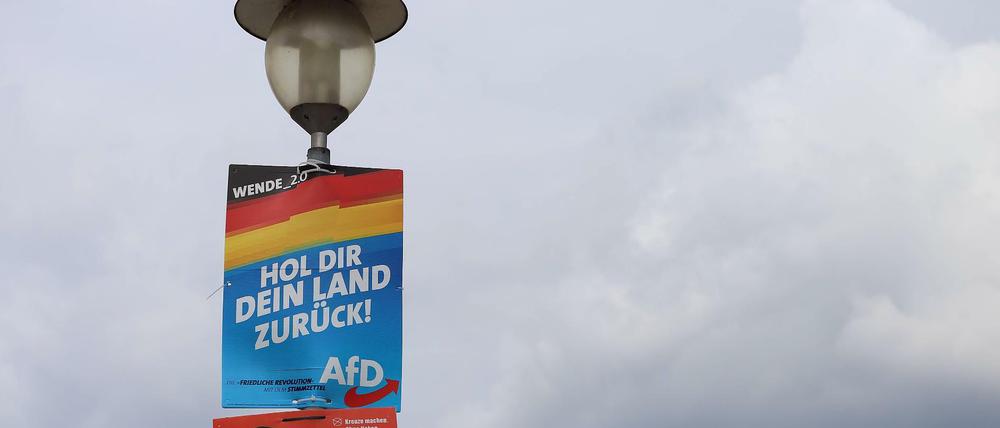 Wahlplakat der AfD (mit der Aufschrift Hol Dir Dein Land Zurück) und ein Plakat der Kampagne Storch Heinar (mit der Aufschrift Nazis einen Vogel zeigen) für die Landtagswahl in Brandenburg. 