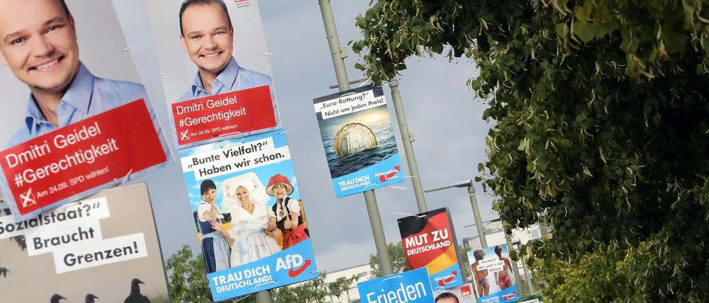 Wahlplakate im Bundestagswahlkampf.