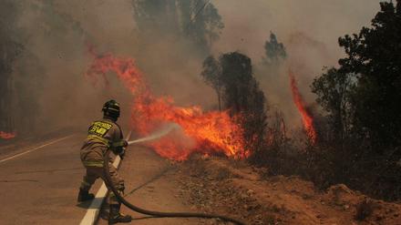 Waldbrände in Chile.