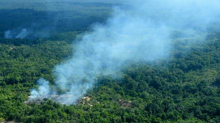 Rauch steigt aus dem Wald in einer Region des Amazonas auf.
