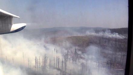 Tausende Quadratkilometer Wald stehen allein im Krasnojarsker Gebiet in Flammen.