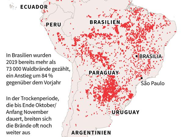 Die Zahl der Waldbrände in Brasilien ist in den ersten acht Monaten des Jahres drastisch angestiegen. Zwischen Januar und August gab es nach offiziellen Angaben 72.843 Waldbrände, die sich in den Bundesstaaten am Amazonas konzentrieren. Im gesamten Jahr 2018 waren es 39.759 gewesen. Zugleich nahm die Abholzung in Brasilien deutlich zu, wie aus einem Bericht des brasilianischen Weltraumforschungsinstituts INPE im Juni hervorging.