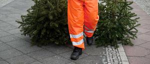 Ein Mitarbeiter der Berliner Stadtreinigung sammelt am 06.01.2014 Weihnachtsbäume ein. 