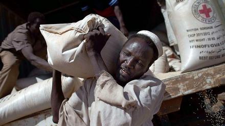 Die Zahl der Hungernden ist zwar zwischen 1990 und 2014 deutlich zurückgegangen. Doch in den vielen Flüchtlingslagern rund um die Welt ist der Mangel weiter groß. Das Foto zeigt eine Essensausgabe in einem Lager im westsudanesischen Darfur. 