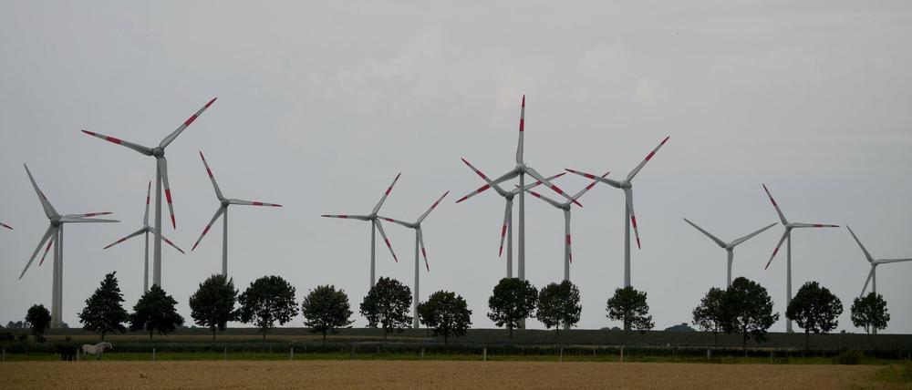 Windkraftanlagen im Kaiser-Wilhelm-Koog in Schleswig-Holstein.