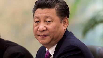 Ziel scharfer Kritik aus dem Bundestag: Chinas Staats- und Parteichef Xi Jinping.