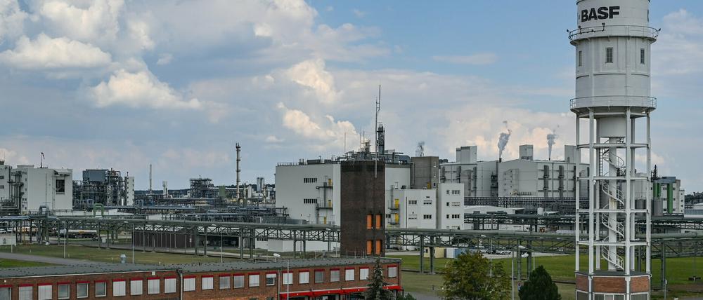 Der BASF-Standort in Schwarzheide soll noch einmal deutlich wachsen. 