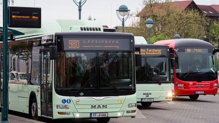 Busse am 28. April auf dem Bahnhofsplatz in Frankfurt (Oder): Hier wurde der Streik am frühen Dienstagmorgen überraschend abgesagt.