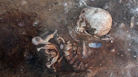Auch dieses mehr als 8000 Jahre alte Baby-Skelett wurde in der Uckermark gefunden.