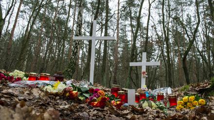 An dieser Stelle in einem Waldstück in Adlershof fanden Spaziergänger die Leiche der 19-Jährigen.
