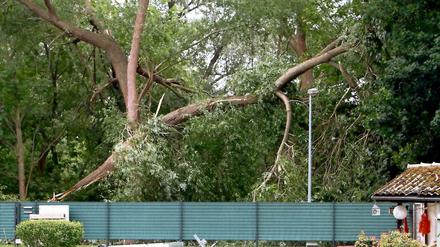 Bereits im Juni dieses Jahres waren auf dem Bugagelände in Rathenow Bäume umgestürzt. Ein herabfallender Ast hatte einen Besucher erschlagen. Auch am Sonnabend mussten zwei Anlagen wegen Unwetterschäden geschlossen werden. 