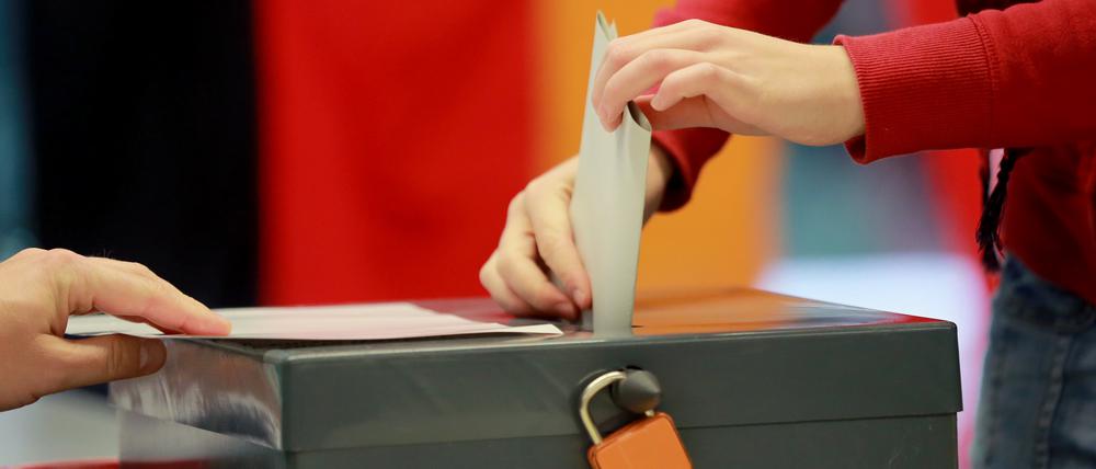 Laut einer aktuellen Umfrage käme die CDU in Brandenburg auf 30 Prozent, gefolgt von AfD und SPD.
